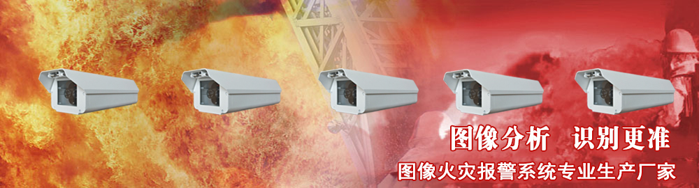 体育app在线登录